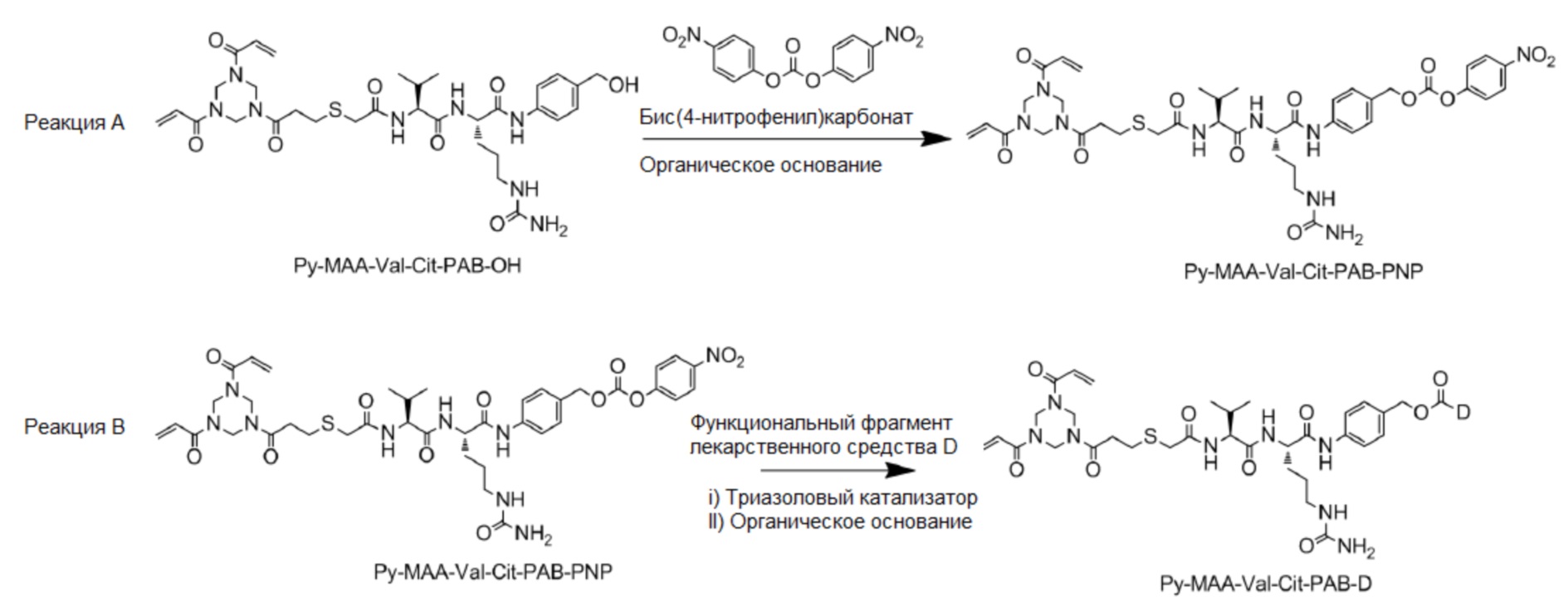 Реакция d n. Конъюгаты с глицином и таурином структура. Конъюгат сод ХС КАД.