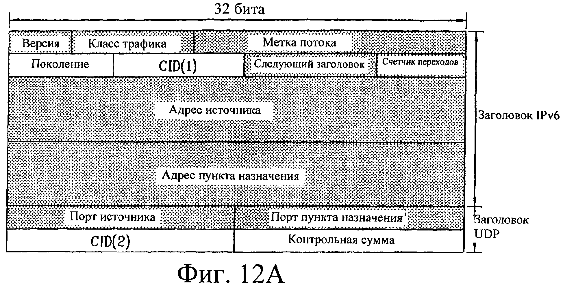 система взаимоотношений между членами одной популяции фото 112