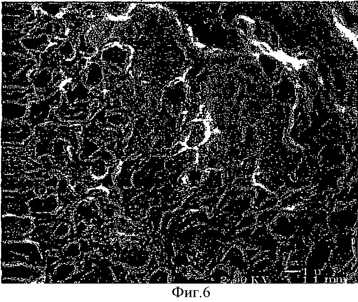 Разрушения полимеров. Биологическая деструкция. Destruction of Polymers. Mechanical Destruction of Polymers.