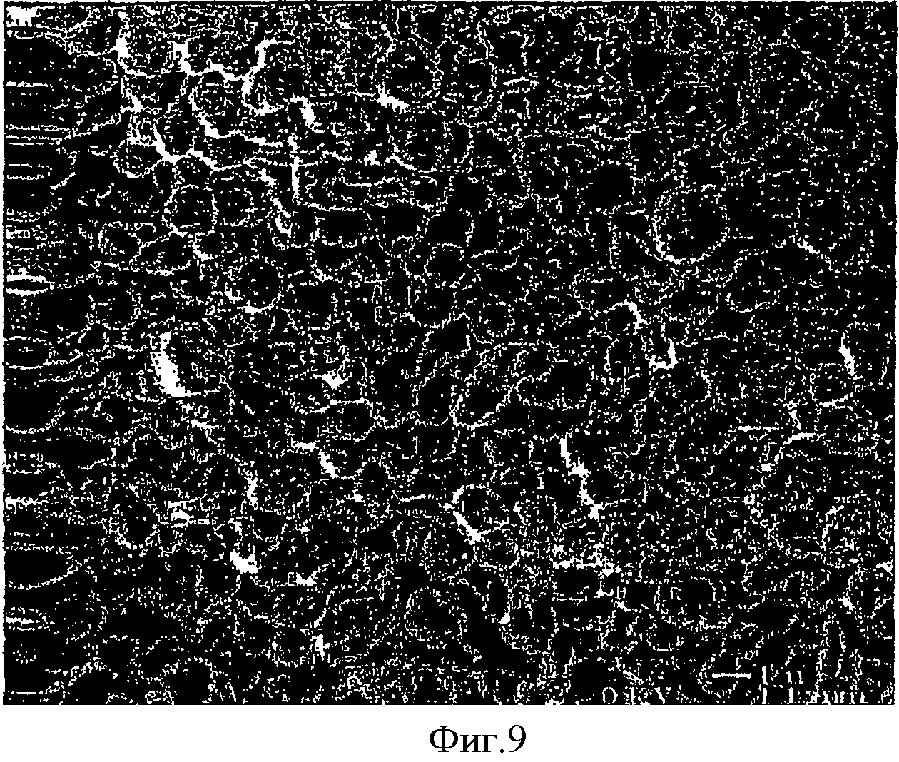 Разрушения полимеров. Биологическая деструкция. Destruction of Polymers. Mechanical Destruction of Polymers. Destruction Polimer material.