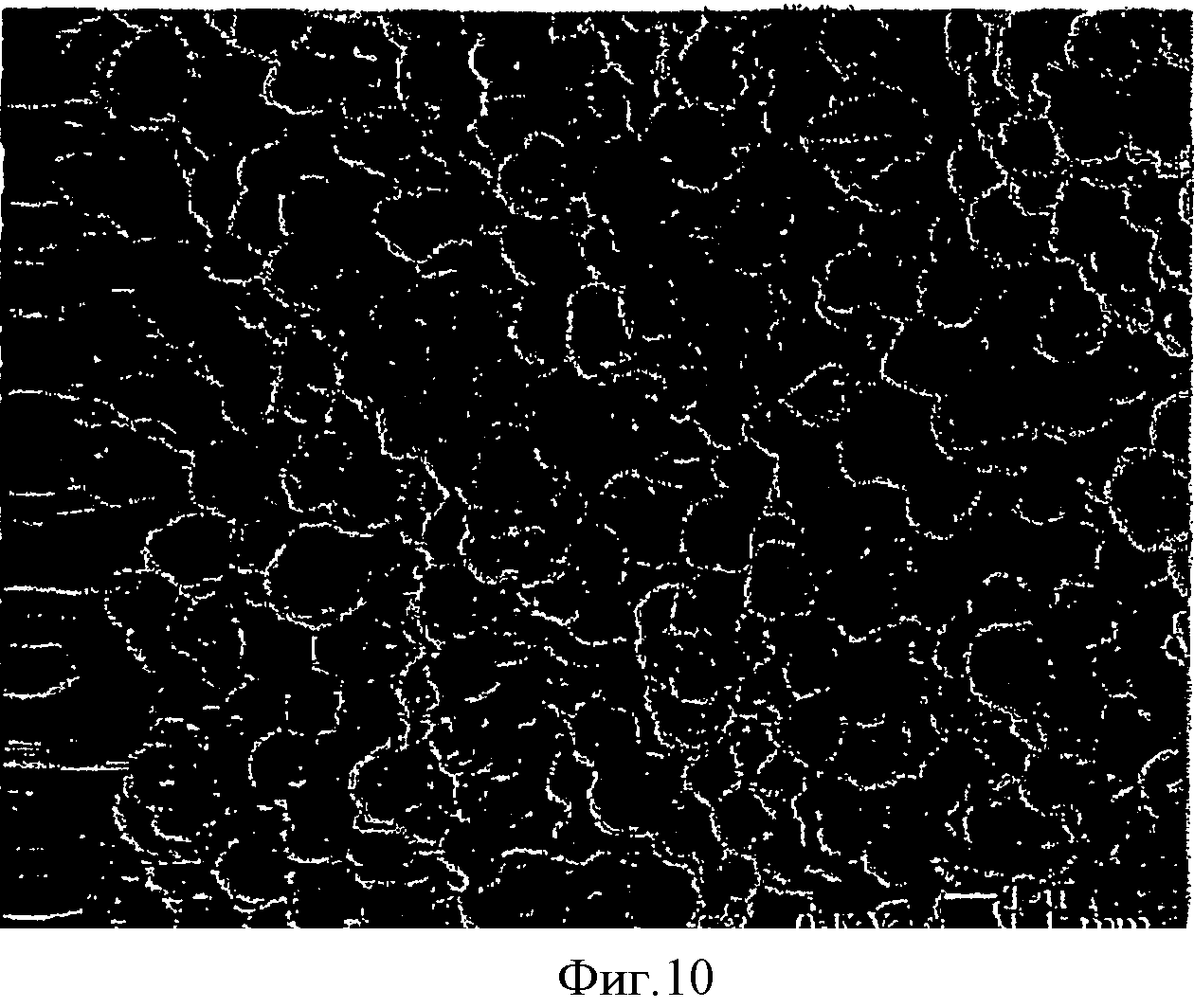 Разрушения полимеров. Destruction of Polymers.