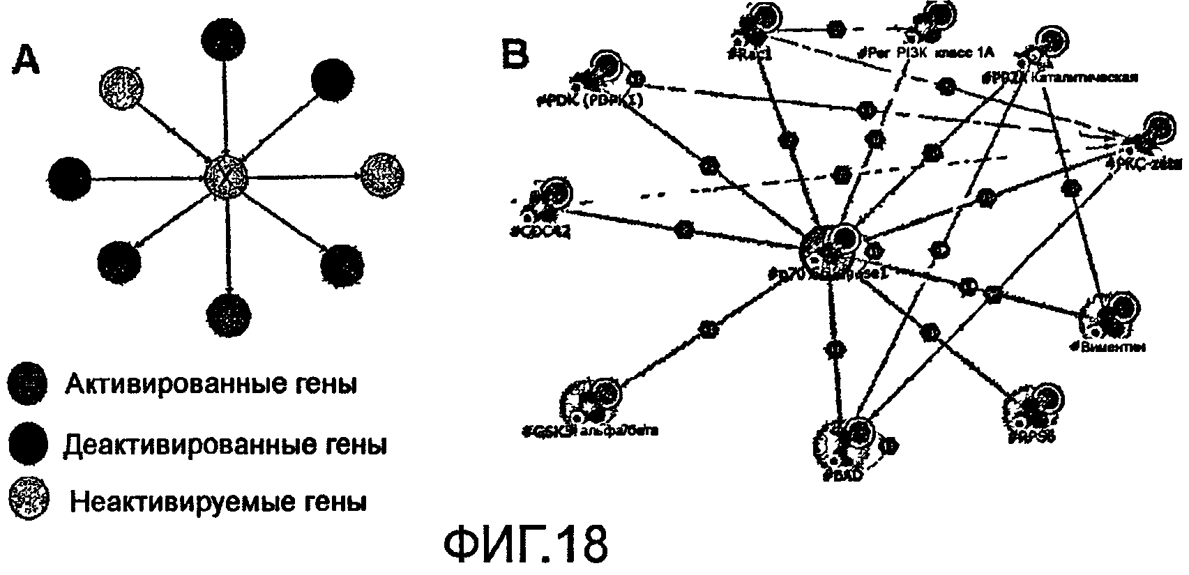 Геном груп