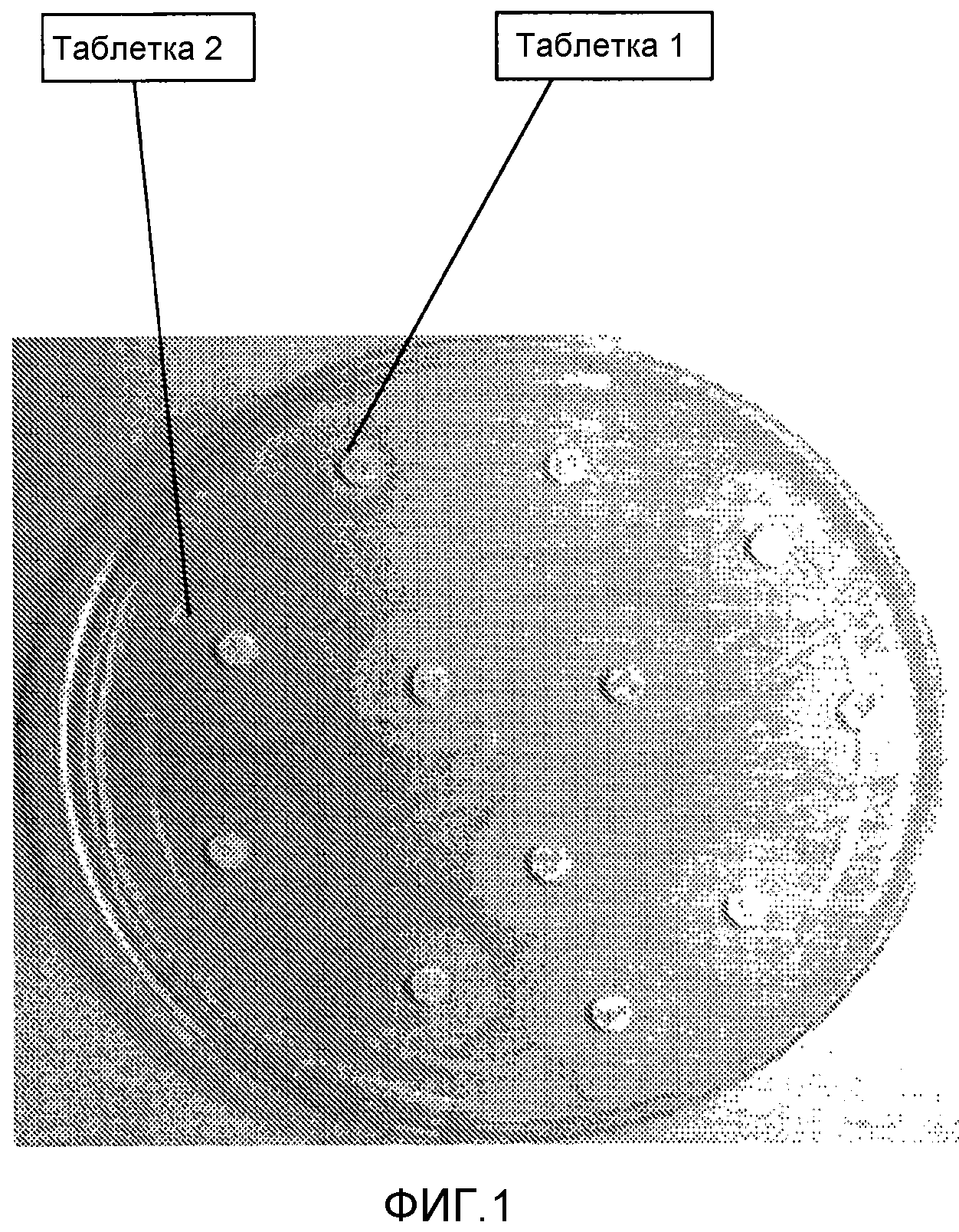 Клетка миелина под микроскопом. Микроскопия времени. Микроскопия времени. Микроскопия донной фазы. Микроскопия времени.