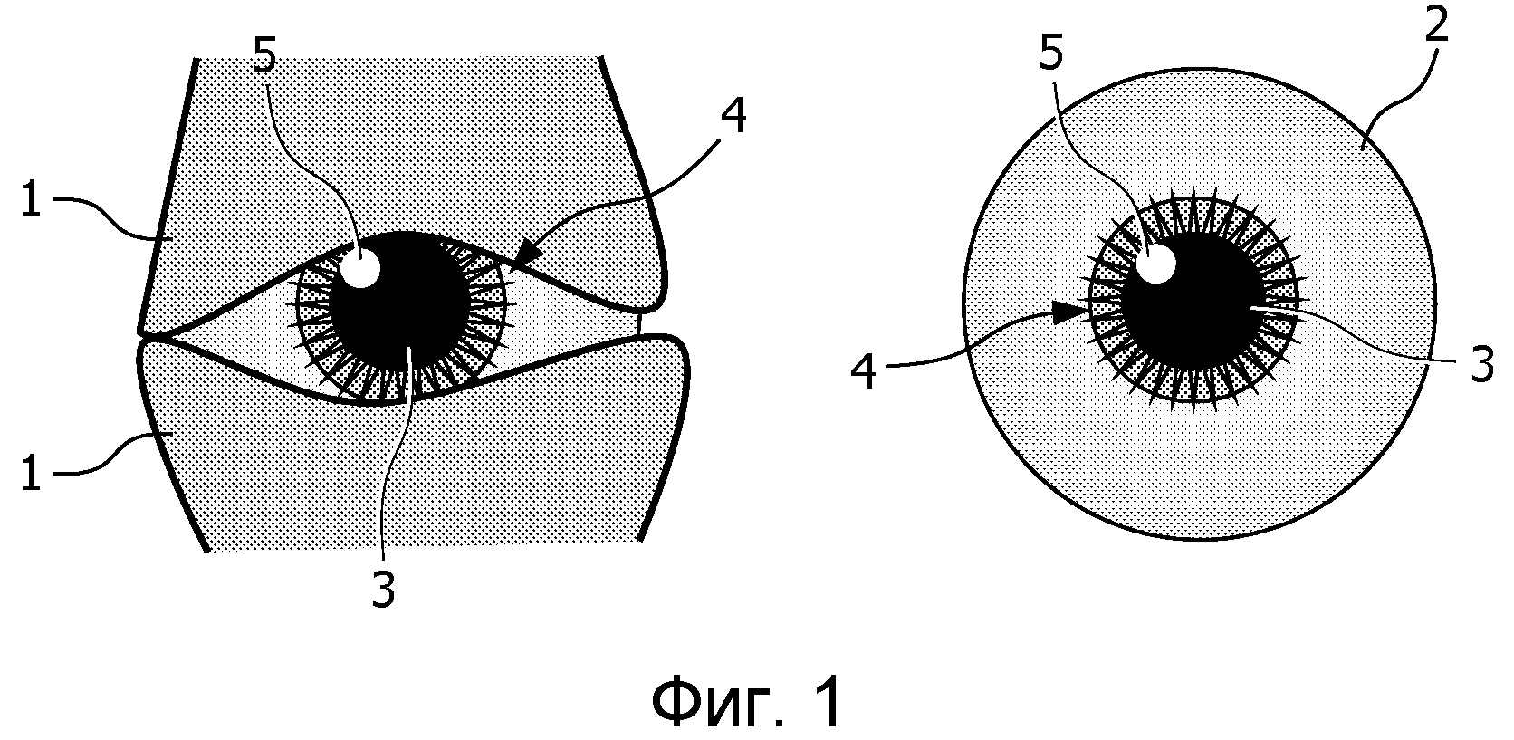 обращенный к глазу наблюдателя