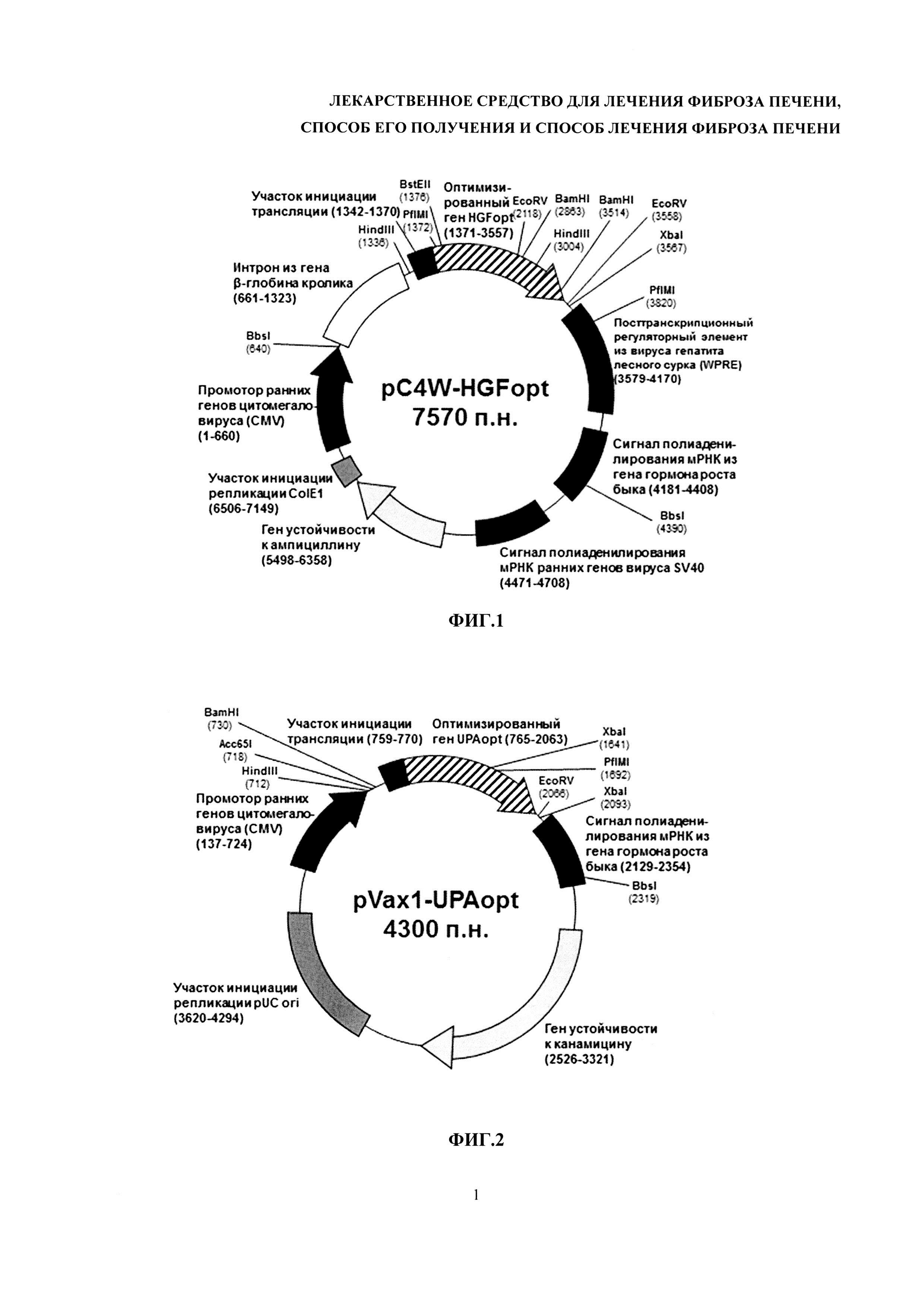 Препараты от фиброза печени 3 степени. Лекарство от фиброза печени. Лечение при фиброзе печени. Фиброз таблетки. Фиброз печени симптомы и признаки болезни.